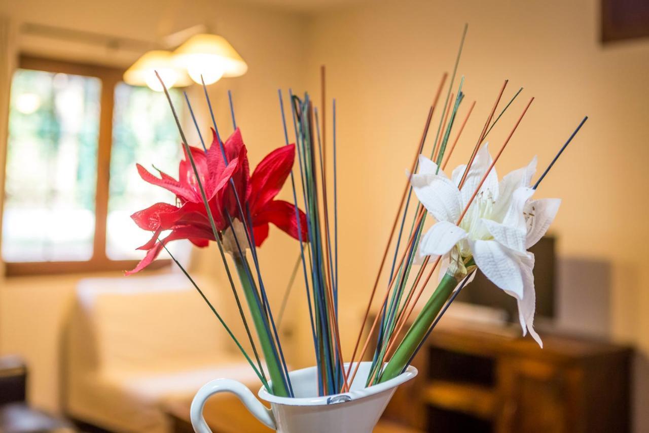 Apartamentos Rincon Del Duende San Martin  エクステリア 写真